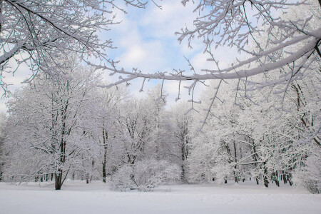 Зима пришла