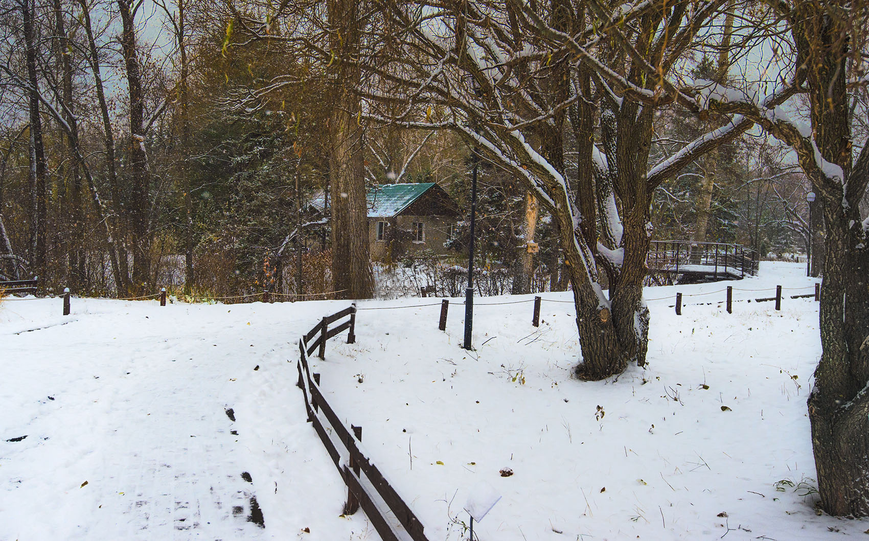 Первый снег