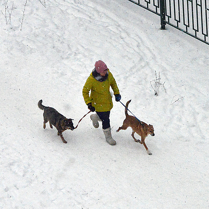 В ногу с хозяйкой...