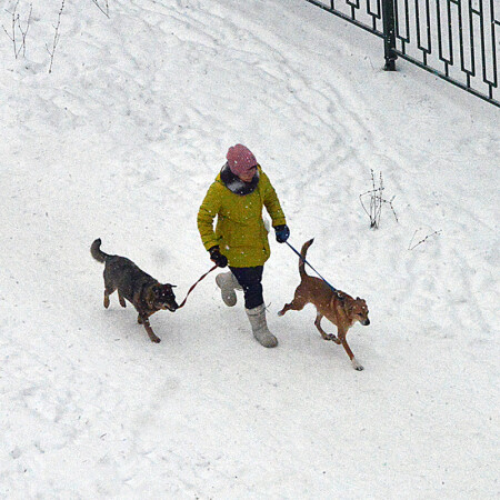 В ногу с хозяйкой...
