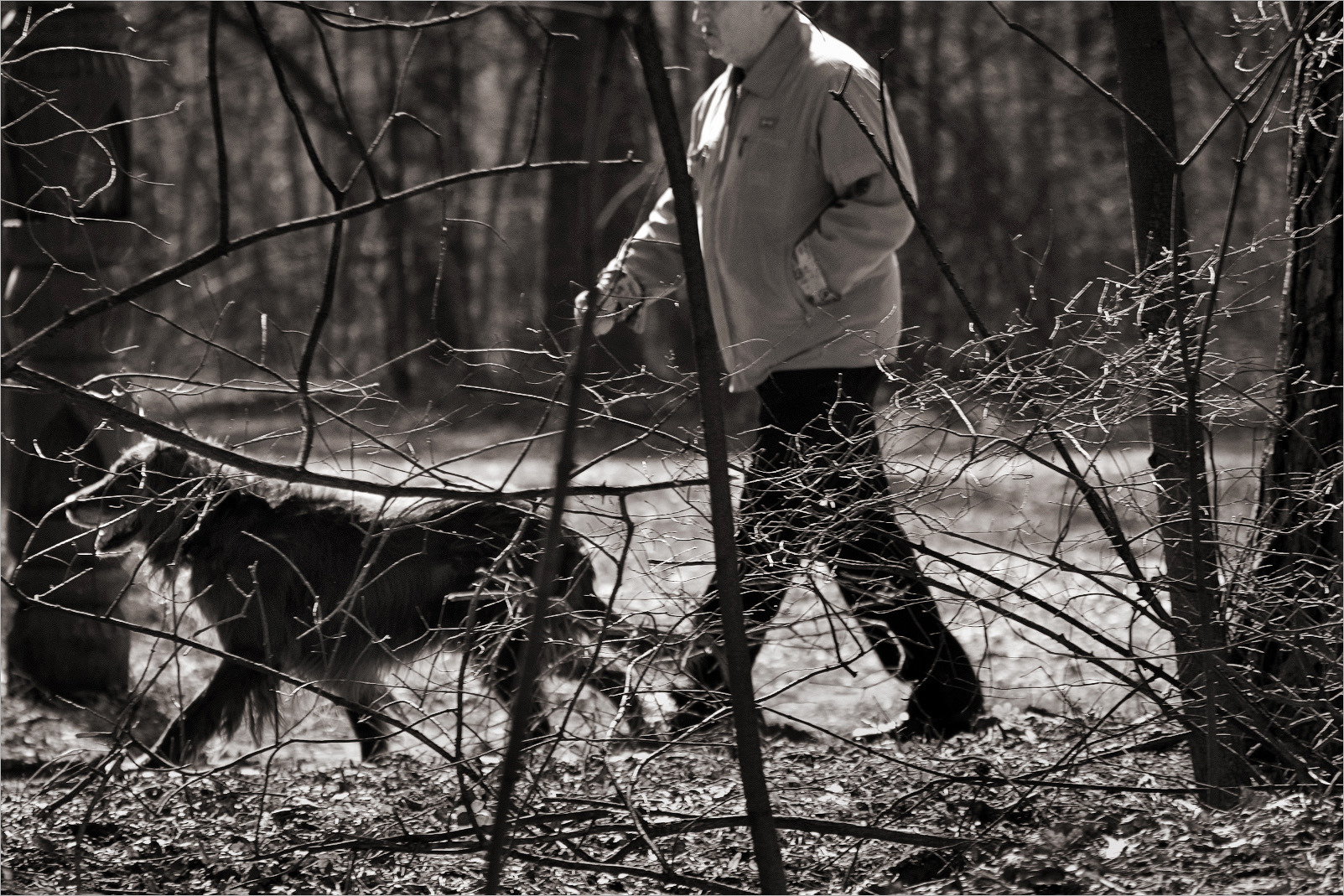 В паутине...