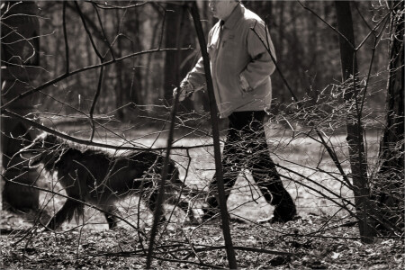 В паутине...