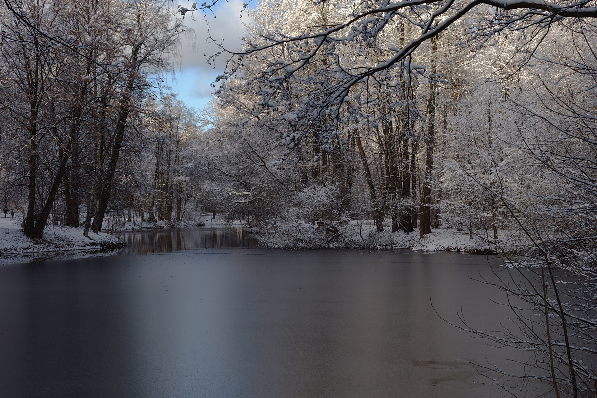 Зимний сюжет