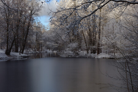 Зимний сюжет