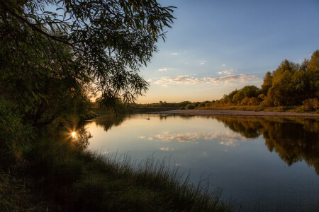 Солнечный зайчик
