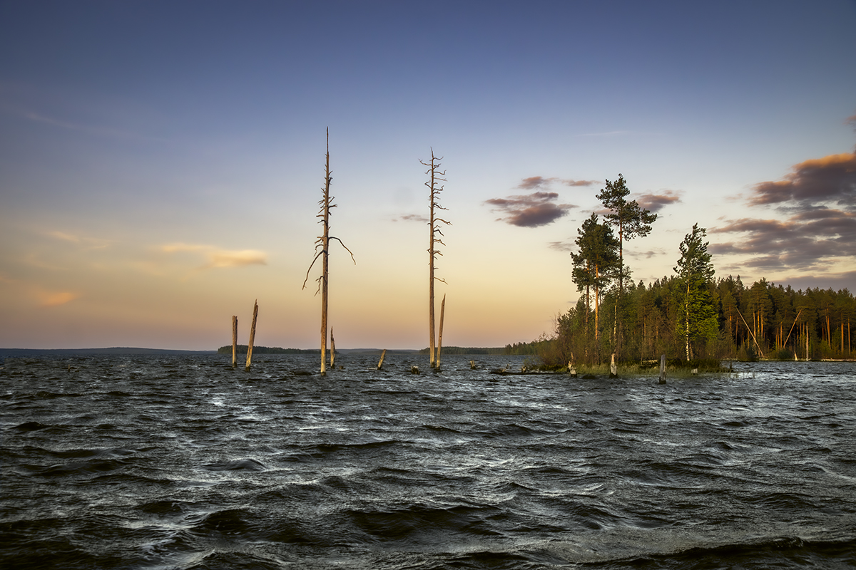 Ветрено на Выгу