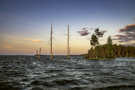 Ветрено на Выгу