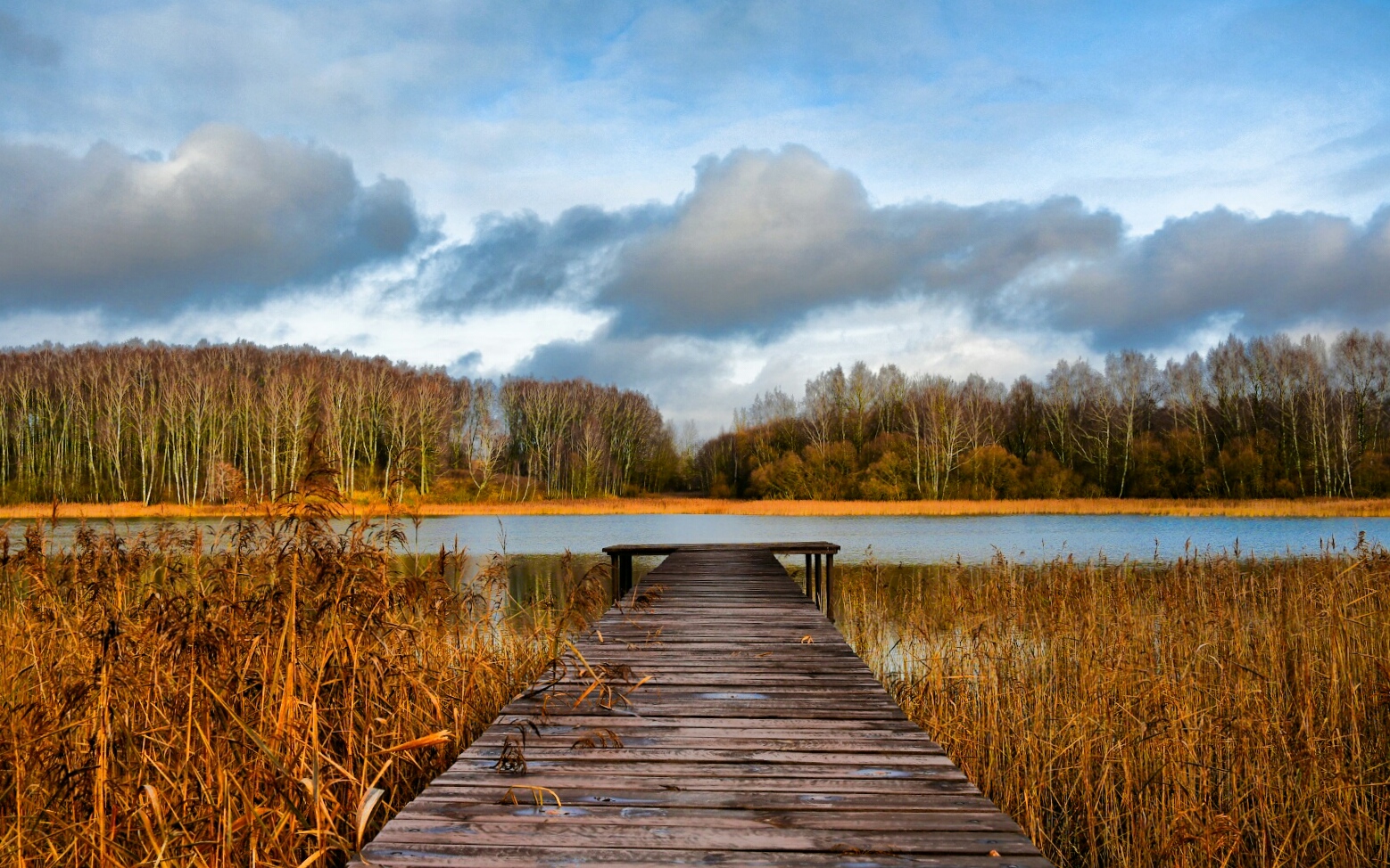 Природа Смоленщины 