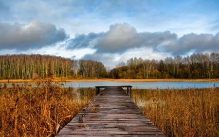 Природа Смоленщины 