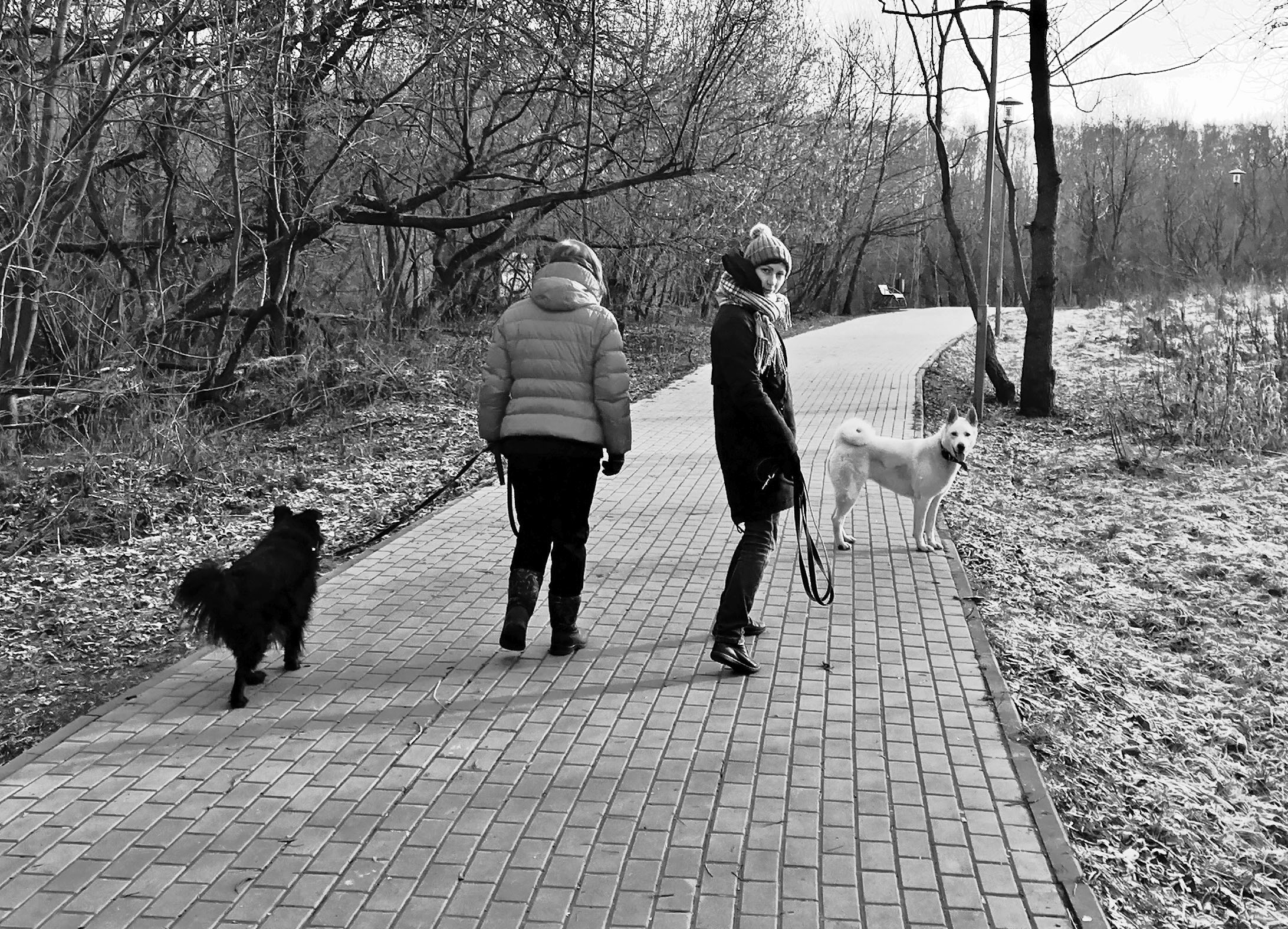 "Я оглянулся посмотреть, не оглянулась ли она..." (с)