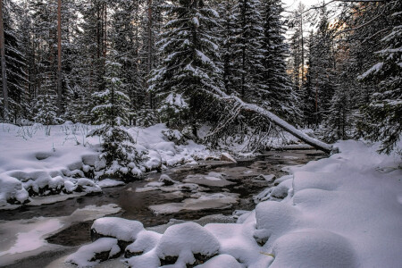 Первый снег 