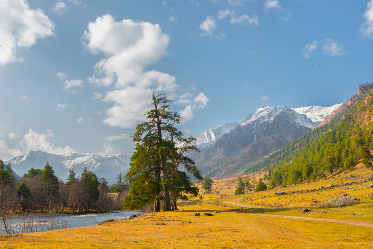 Долина реки Аксаут. КЧР.