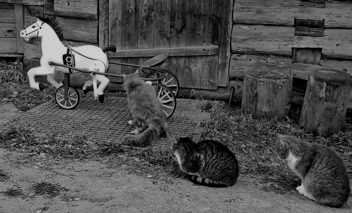 очередь покататься