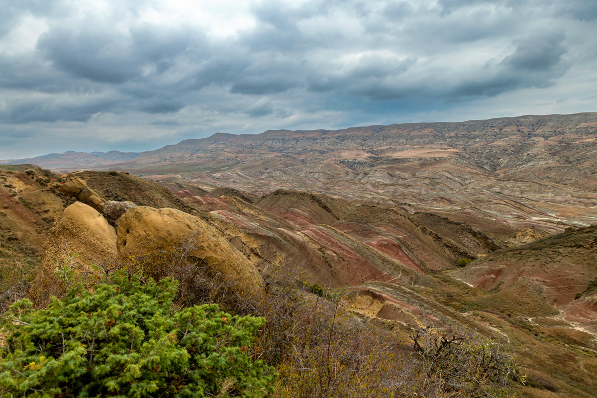Гареджийская пустыня. Грузия. 