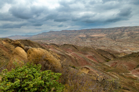 Гареджийская пустыня. Грузия. 