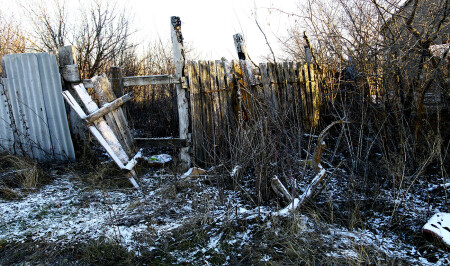 Заброшенный сад