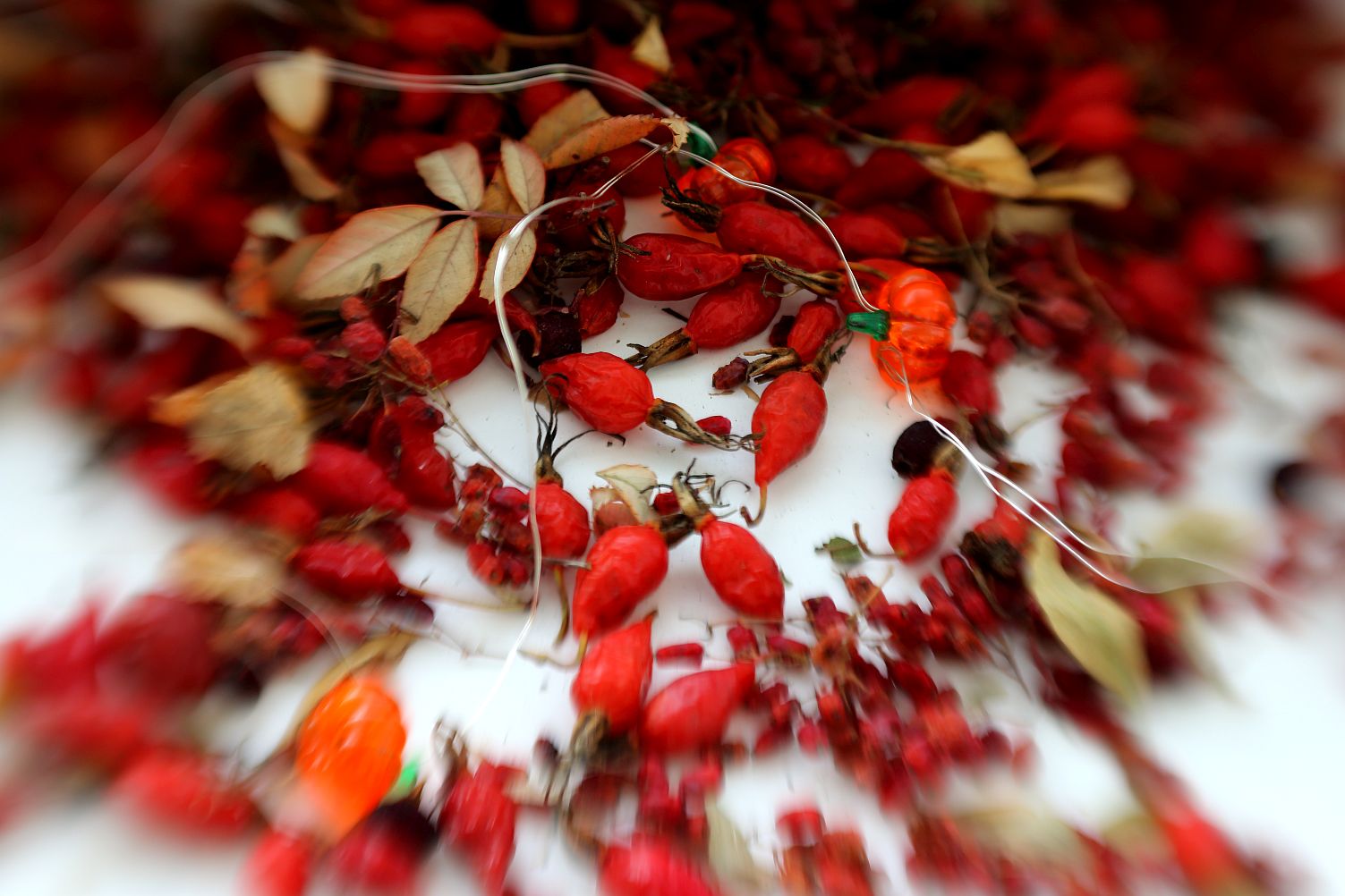 Осеннее настроение