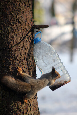 Не подглядывай!