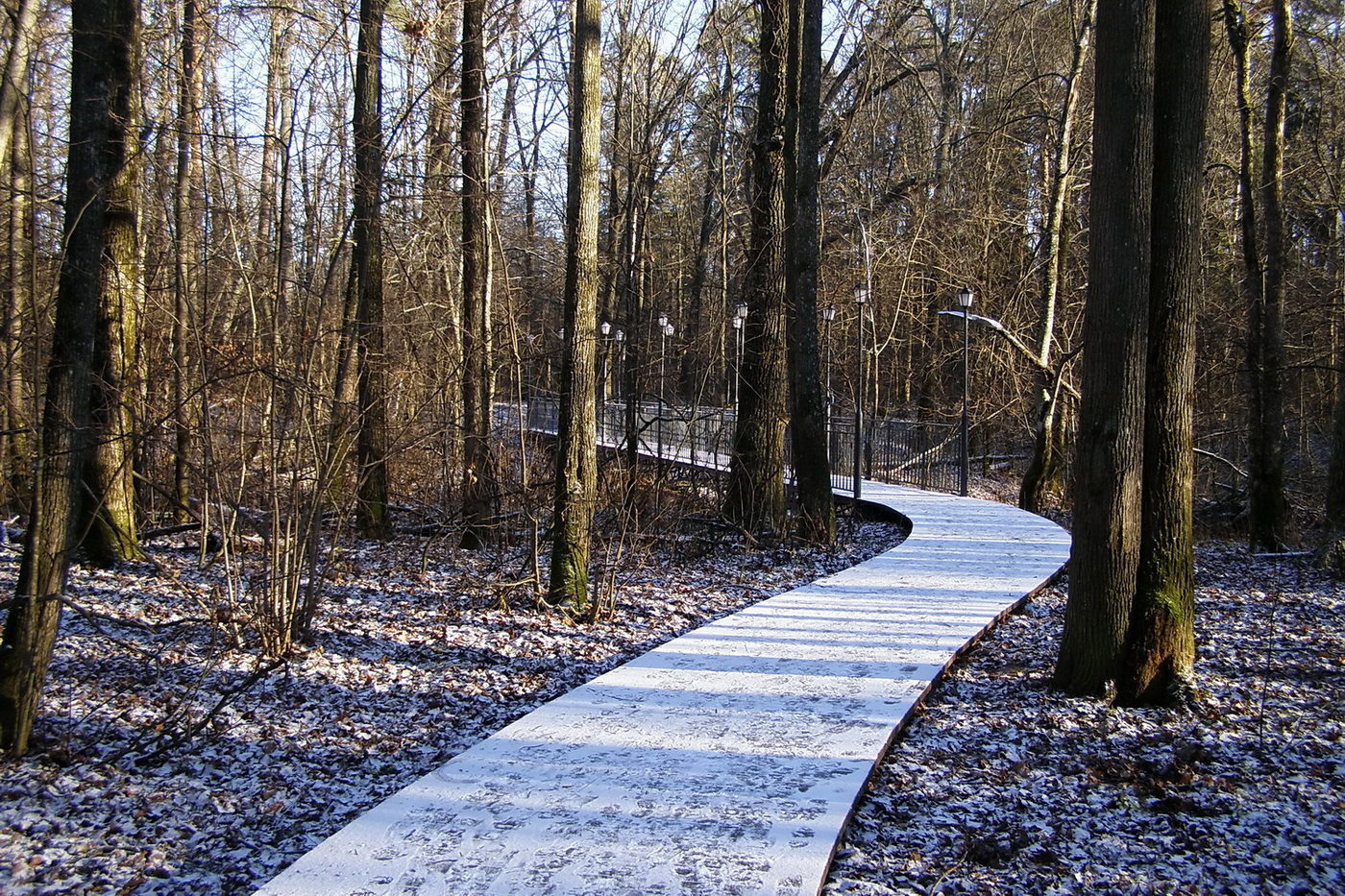 Пошли гулять!