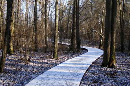 Пошли гулять!