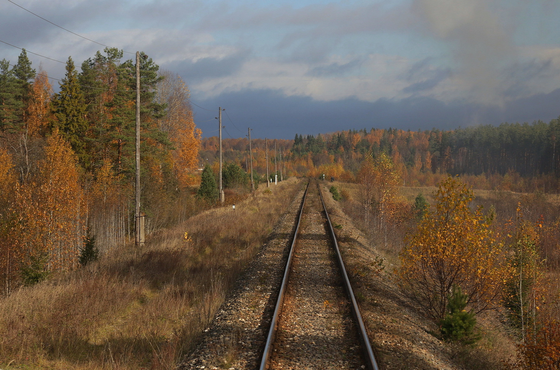 Бологое-Полоцкая ЖД