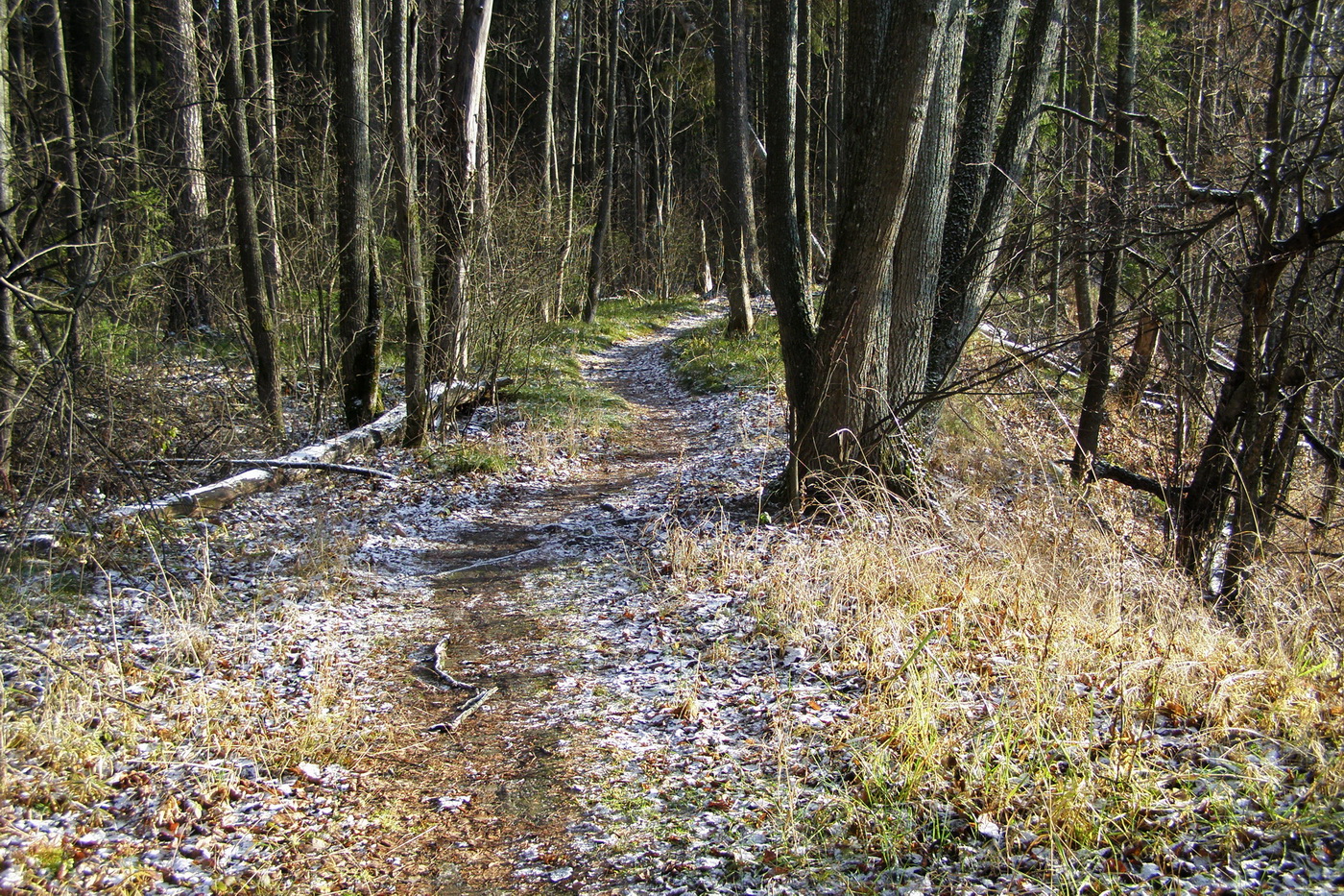 Уже ещё ноябрь...