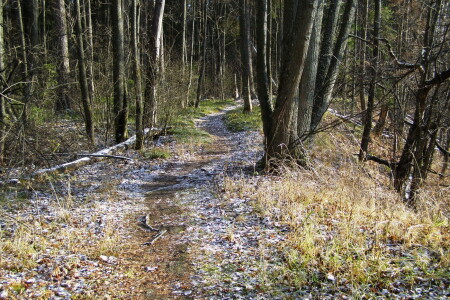 Уже ещё ноябрь...