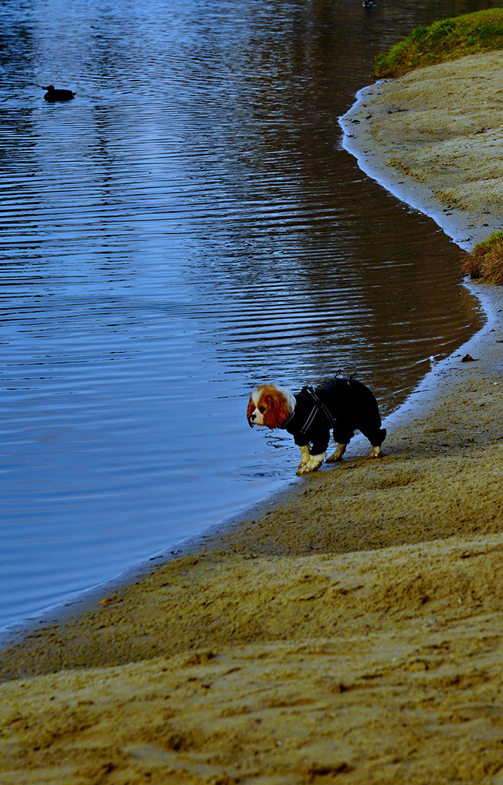 Искупаться что ли?