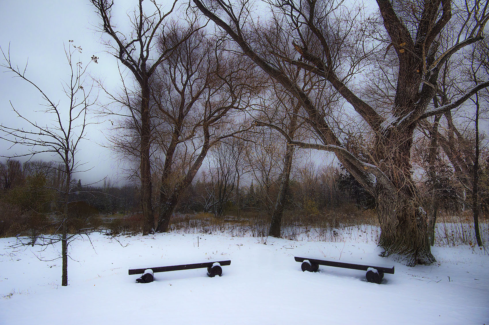 Первый снег