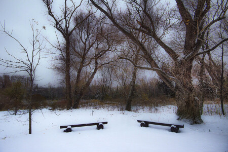 Первый снег