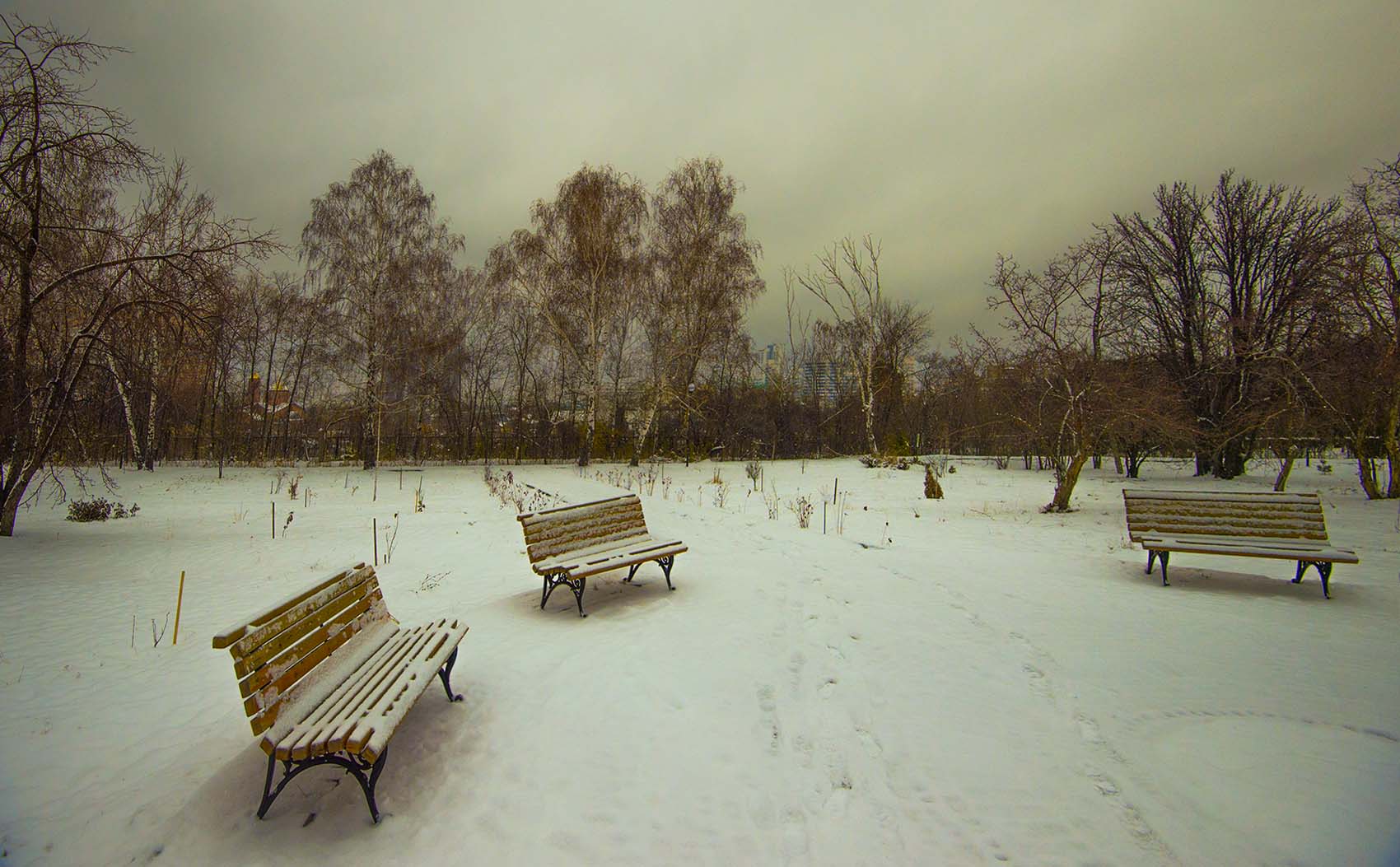 Первый снег