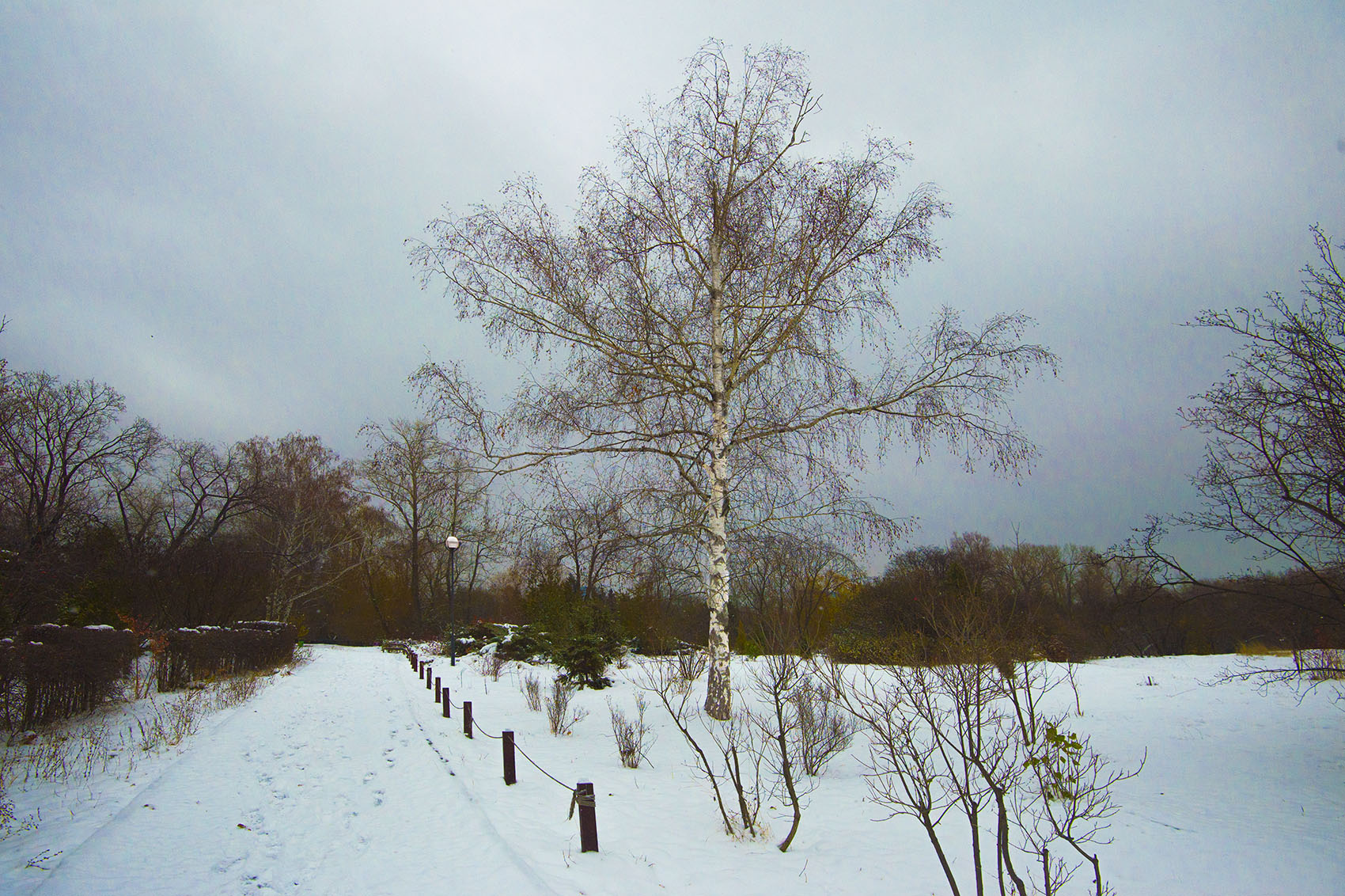 Первый снег