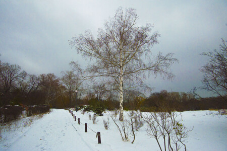 Первый снег