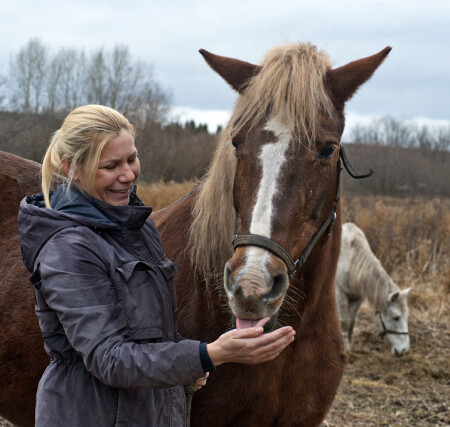 Всё до крошечки... ))