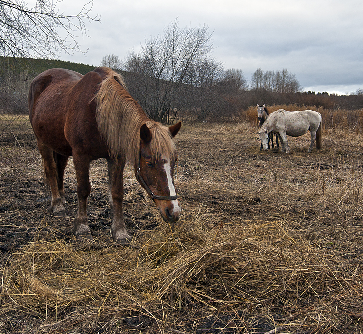 Между летом и замой...