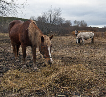 Между летом и замой...