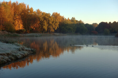 Осенний сюжет
