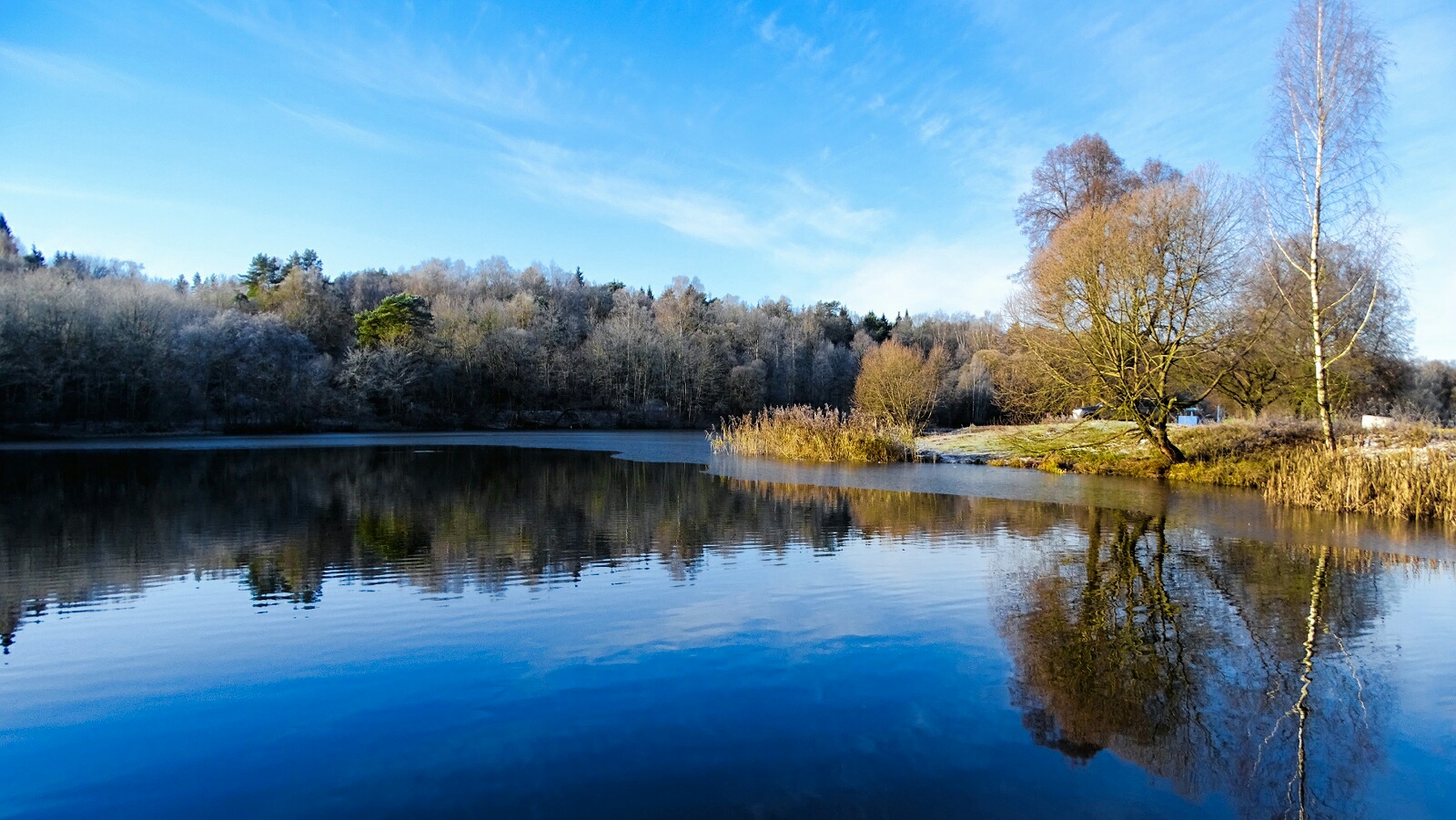 Природа Смоленщины 