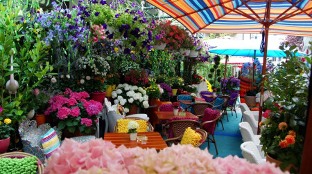 Цветочное кафе