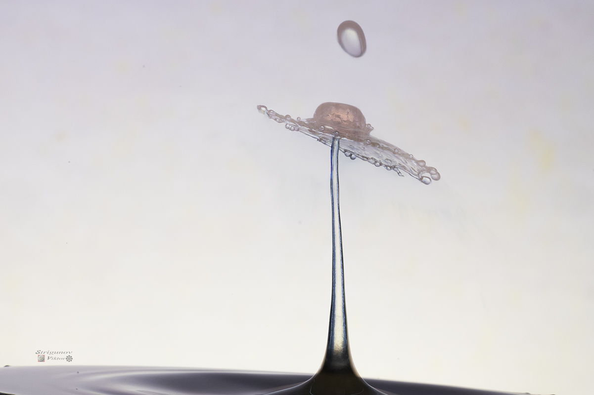 Мир жидкостных фигур.