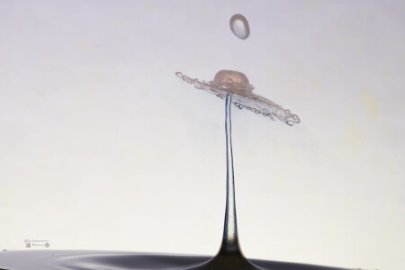 Мир жидкостных фигур.