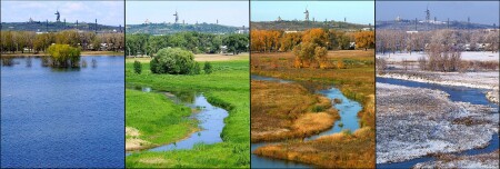 Вемена года