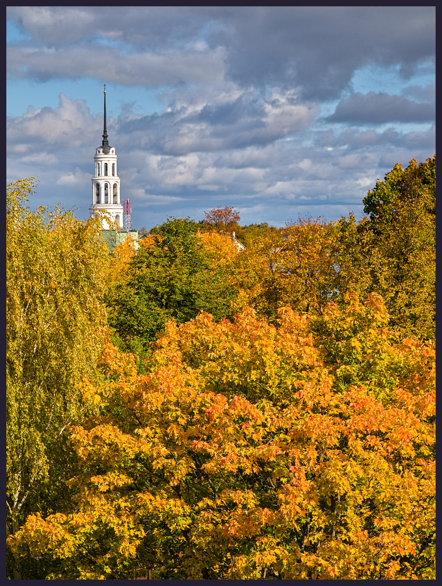 Осенний вид из окна.