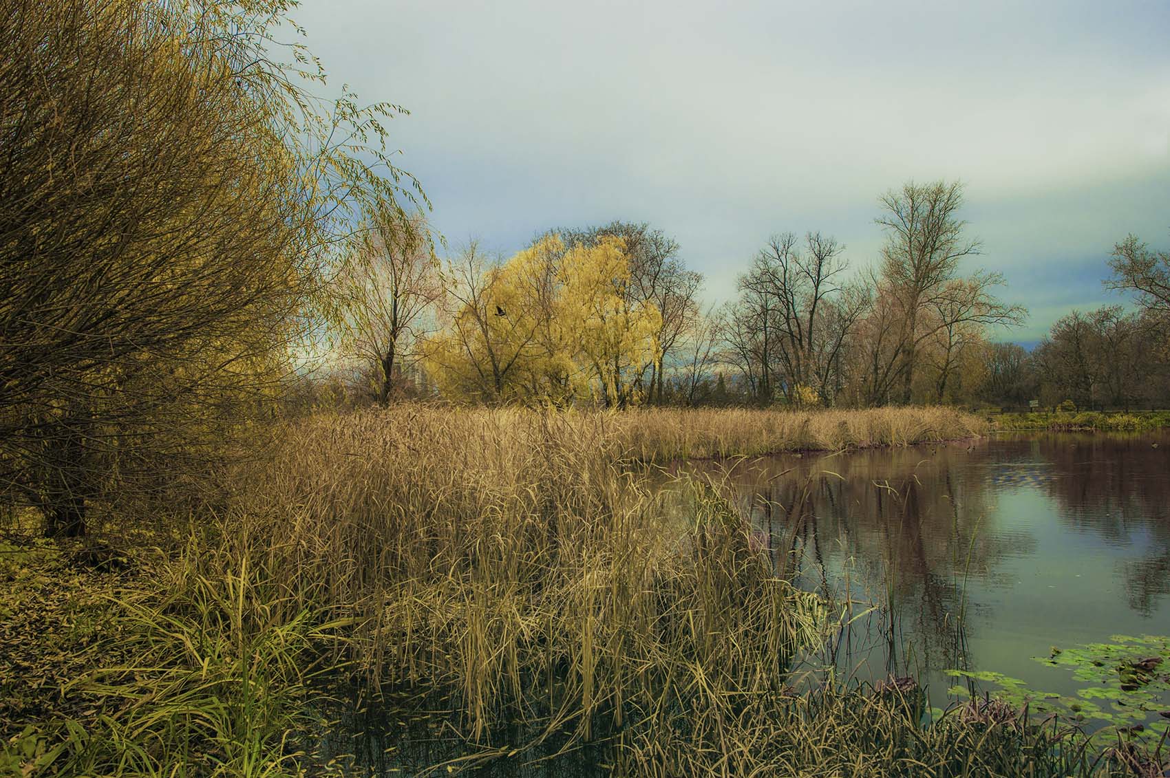 Осеннее озеро