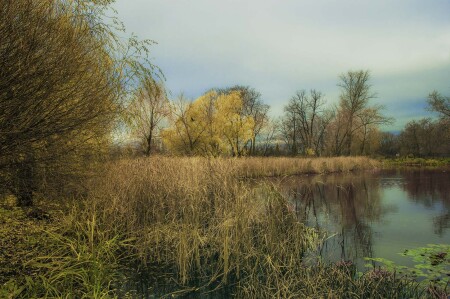 Осеннее озеро