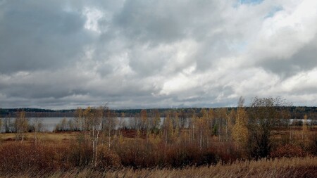 Осенняя зарисовка