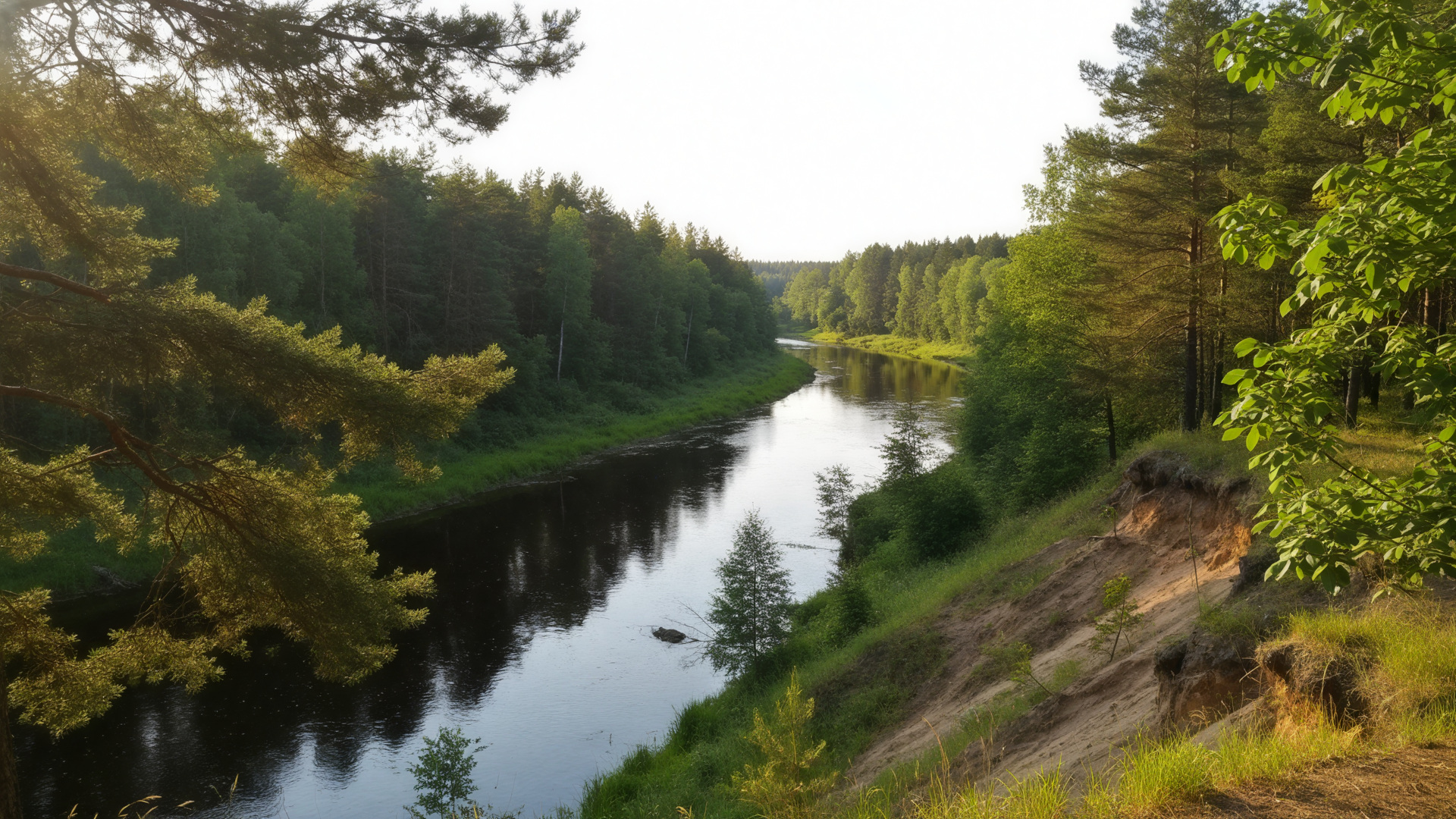 Типичный сюжет