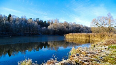 Природа Смоленщины 