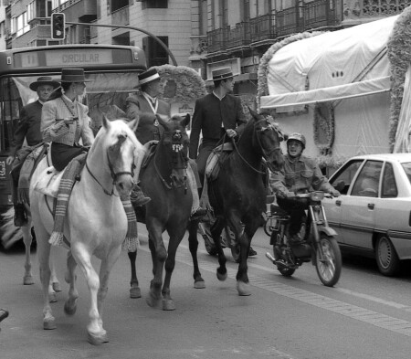 Капитан де- Тр-тр-тр-тревиль.