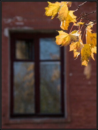 Снова осень.